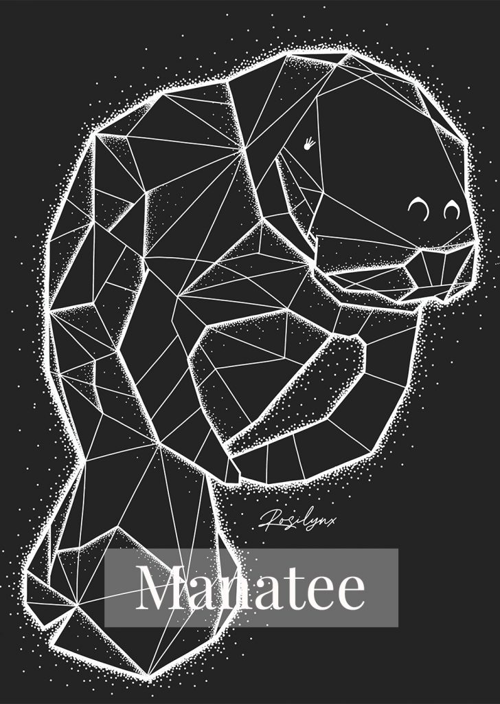 Manatee for HP_2